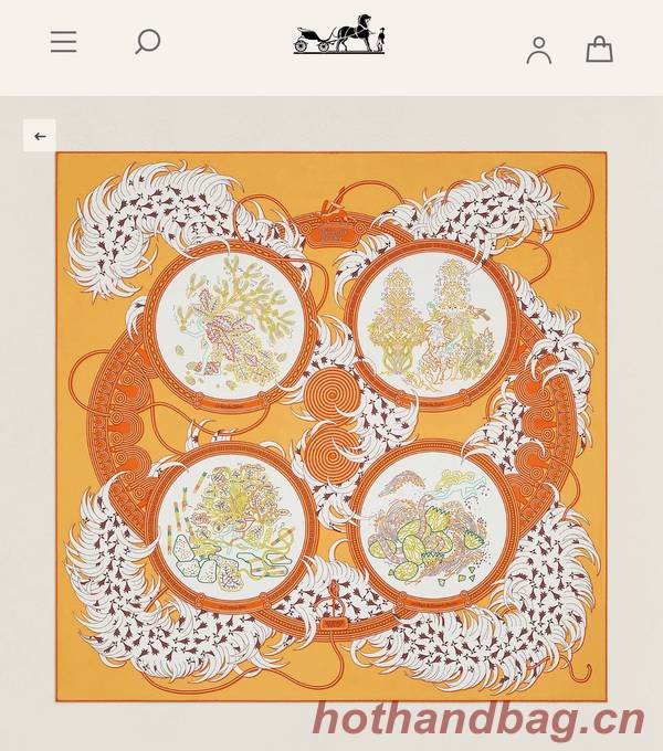 Hermes Scarf HEC00835 Hermes Scarf HEC00835