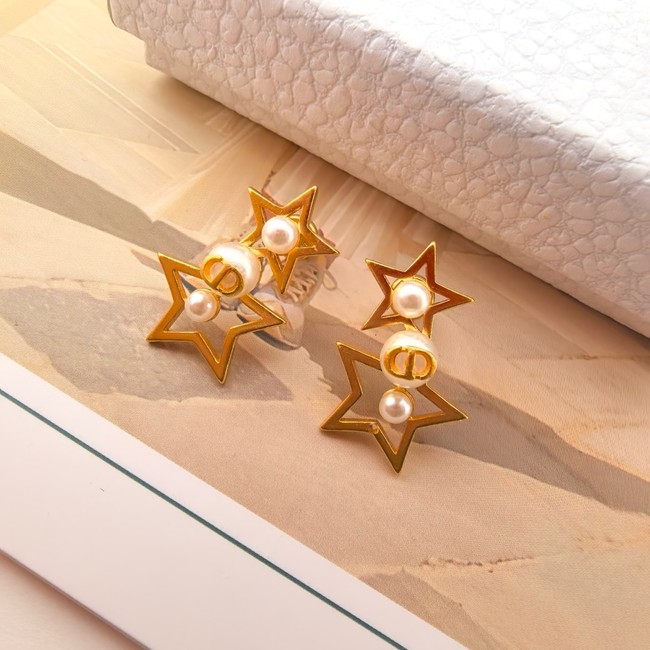 Dior Earring CE17006