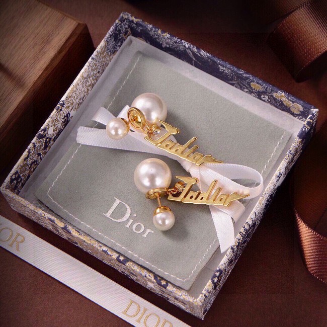 Dior Earrings CE80983