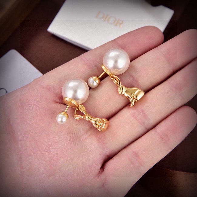 Dior Earring CE81677