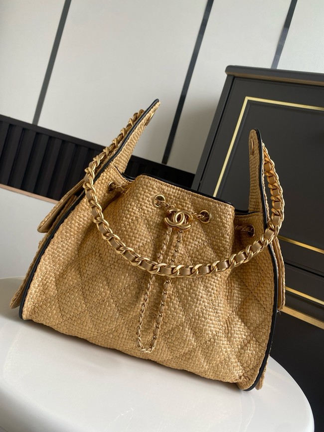 CHANEL 25 Small Handbag Printed Fabric AS5293 brown